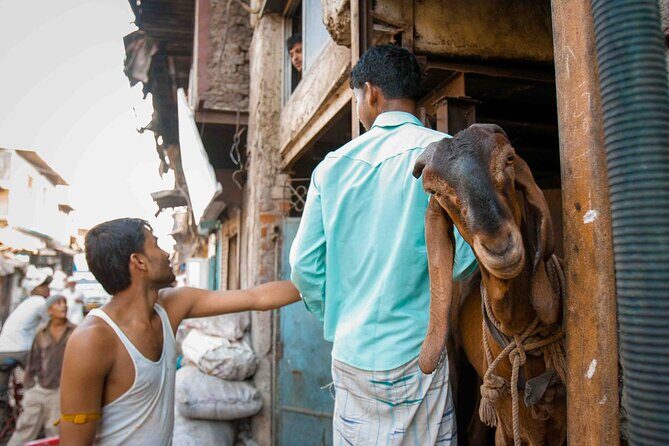 Dharavi Tour Including Car Transfer - Included extras: what you get and what you don’t