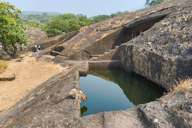 Mumbai Kanheri Caves & Golden Pagoda – A Buddhist Settlement - Timing, weather, and how to prepare like a pro