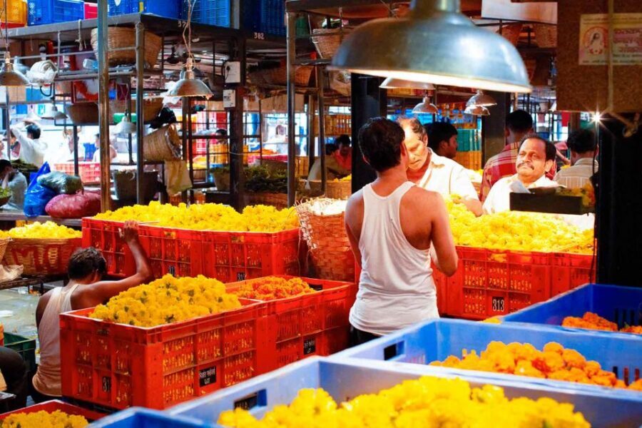 Mumbai: Local Transport & Dabbawallah Tour - Chor Bazaar: Flea-Market Energy and How to Browse Smart