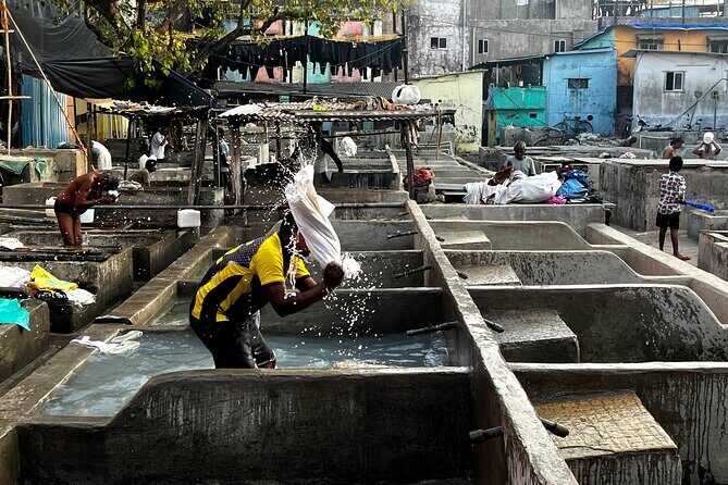 Mumbai Morning Market Tour of Flowers, Fish, and More - Transport and Guide: English Support Plus Calm Handling